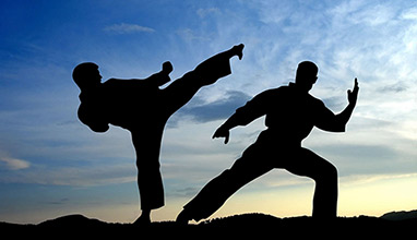 Enhance Student Experience with Advanced Management Solutions for Martial Arts Dojos